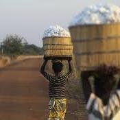 Victoria's Secret buys their cotton from a company that hires child laborers. We are working to spread awareness about this issue !