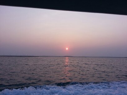 michelle62621's profile picture. 