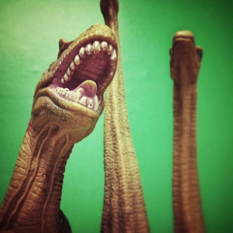 dakeat's profile picture. UX Architect, interactive marketer, photography enthusiast & master of burpees