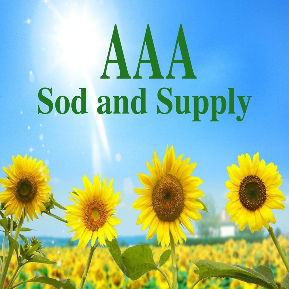 AAASodSupply's profile picture. AAA Sod & Supply is a landscaping, gardening supply, seeding and sodding contractor specializing in lawn replacement. (561) 899-4590