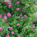 Kellie Tucker - @kt_kellie - Twitter