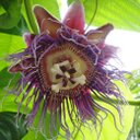 Ben Spence - @CALANDRACA1818 - Twitter