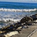 Lola Zamora - @dozagar - Twitter