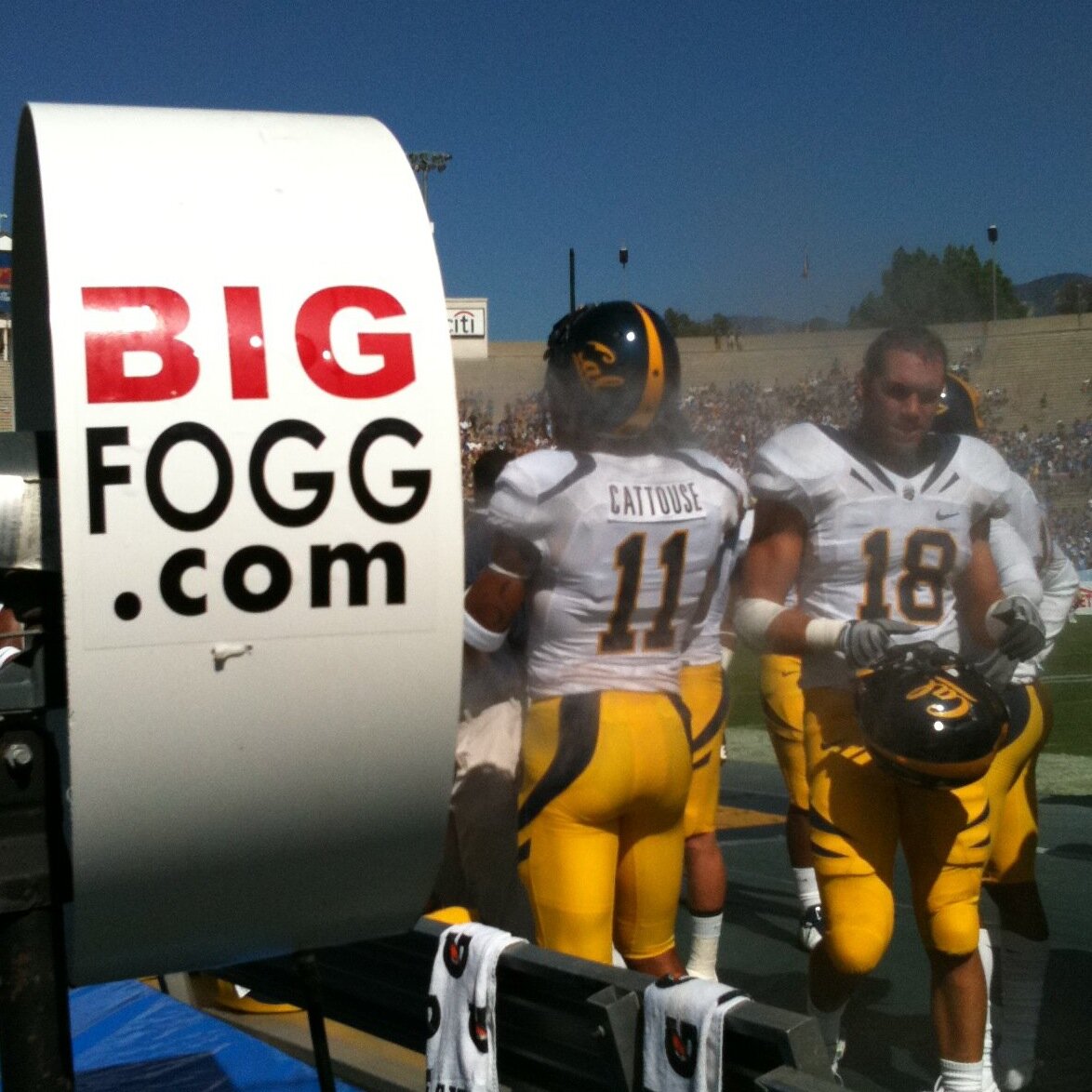 Bigfoggsystems's profile picture. 