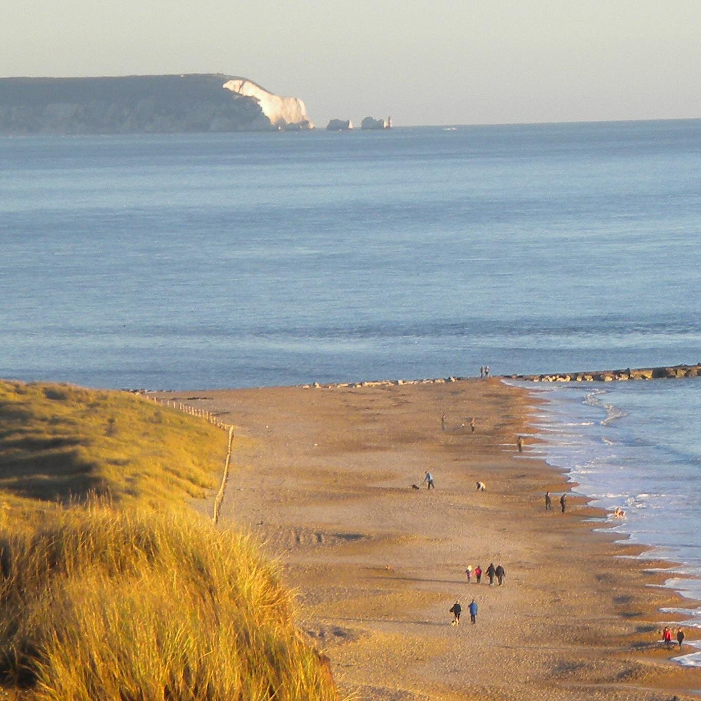 Rogthehat's profile picture. 