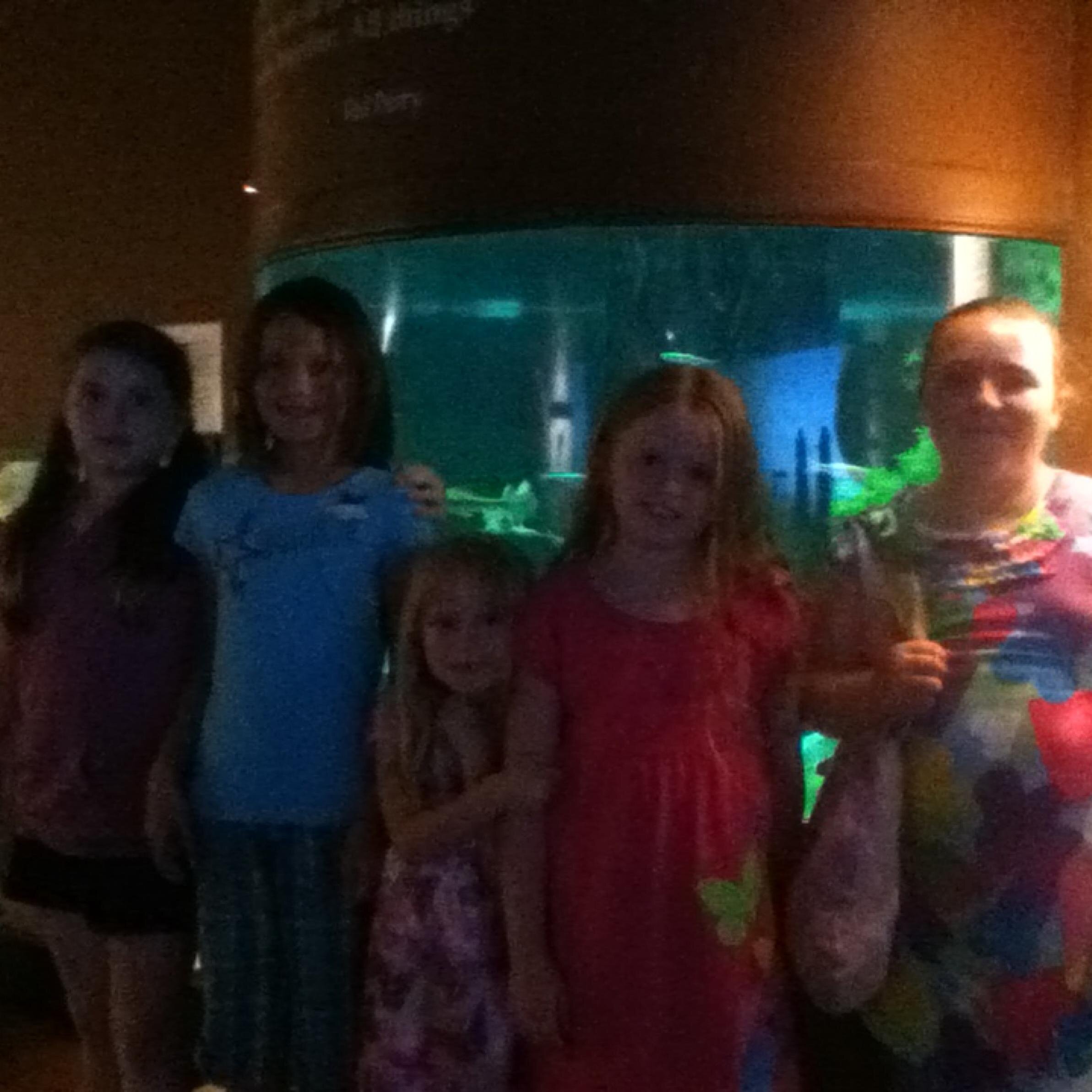 i love you justin bieber and i love david archuleta     cheerleader   and lds  i love my friends     cheerleading is my  life    byu  fan