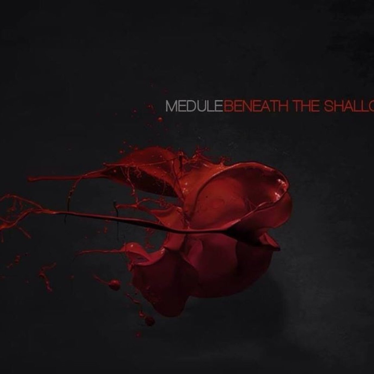 meduleband's profile picture. 