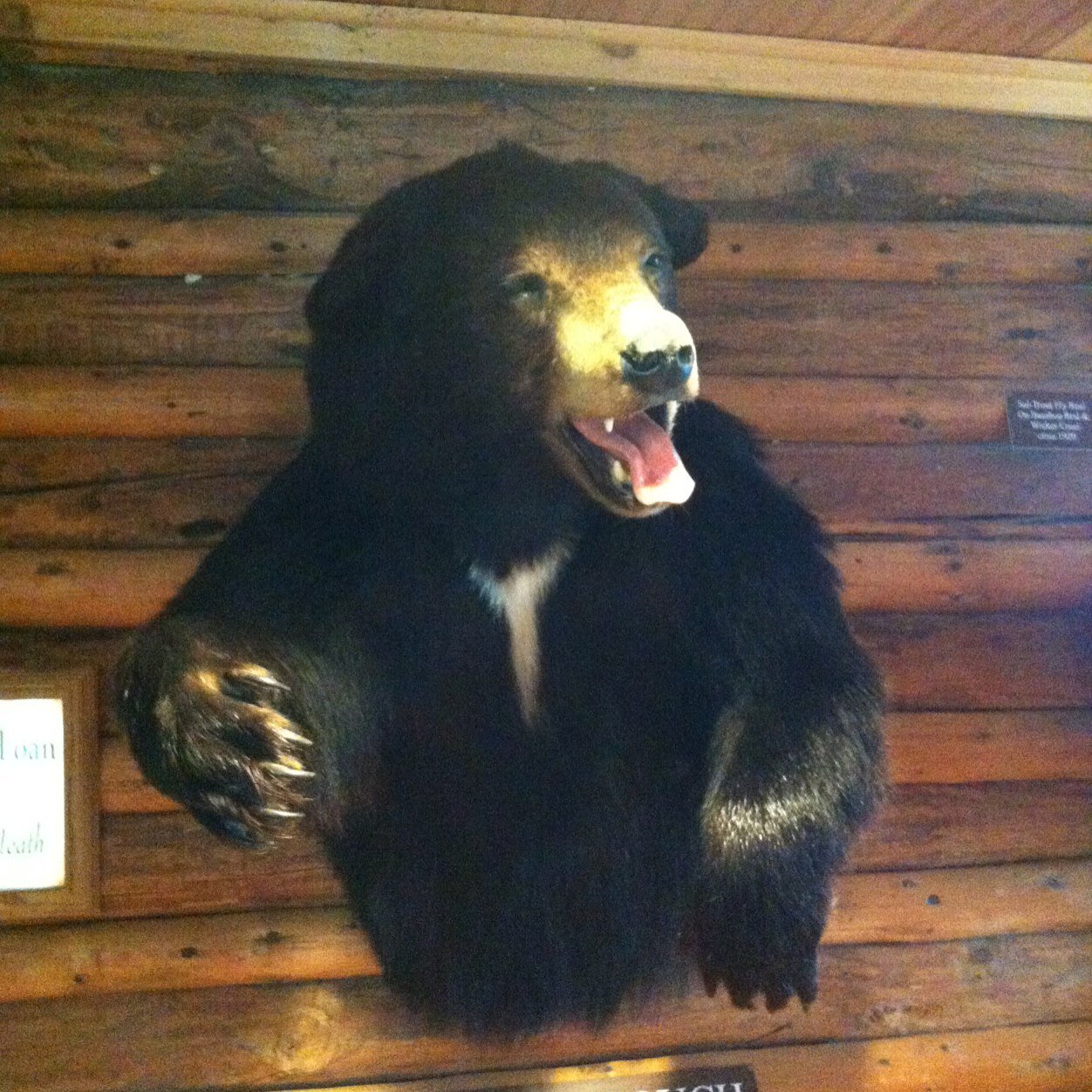 wheredoyoupee's profile picture. 