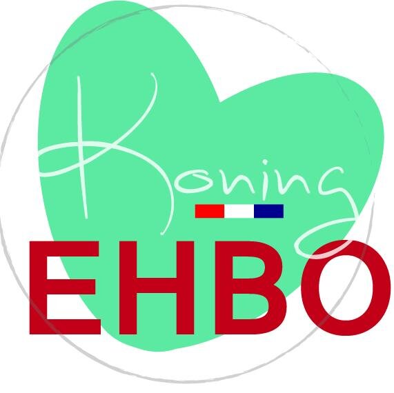 EHBOKoning's profile picture. EHBO-koning Geeft voor jong en oud volwassen en kinder EHBO trainingen. Internationale certificering,