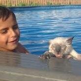 Welcome to the Swimming Hole's Twitter account! Follow us! Check us out on Facebook too!