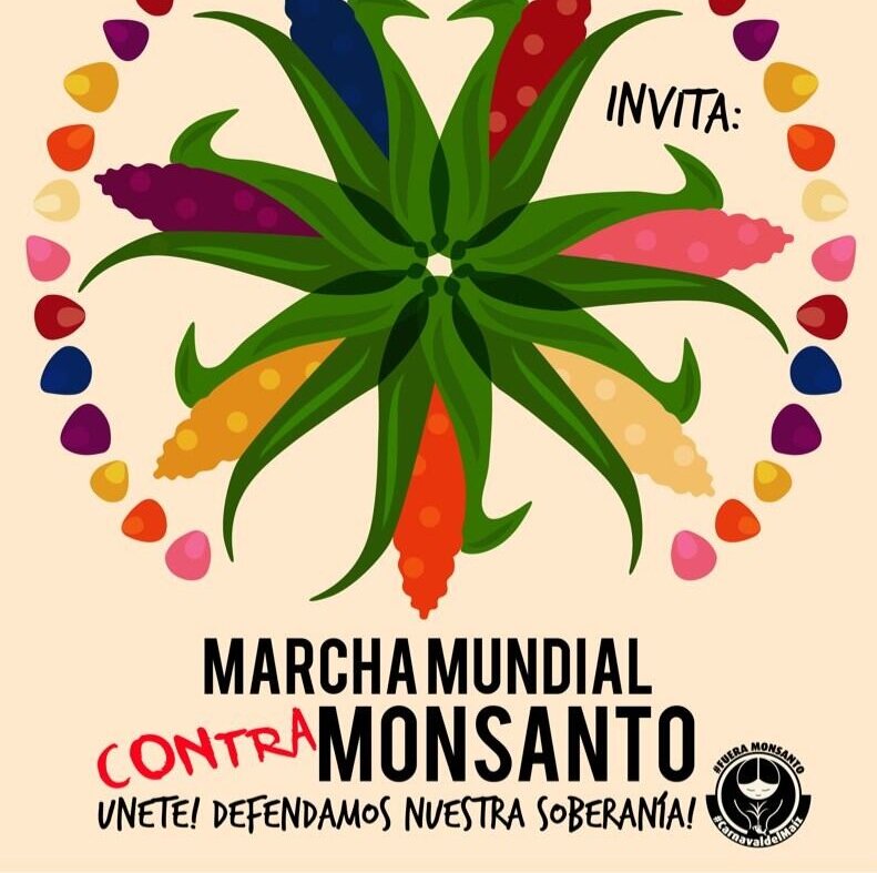 PauPnt's profile picture. 