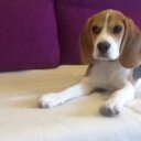 Jose Luis Varona - @JLManisero - Twitter