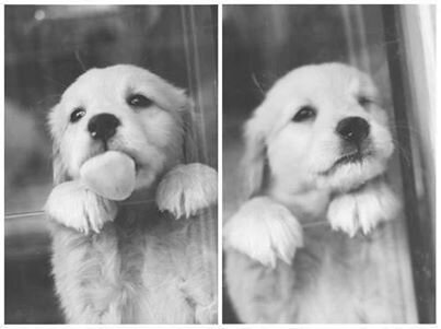 Ashleyquiroz6's profile picture. Eres eso que no quiero perder nunca 3