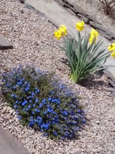 eleanorobrien00's profile picture. lives in Ireland but Welsh at heart ❤️