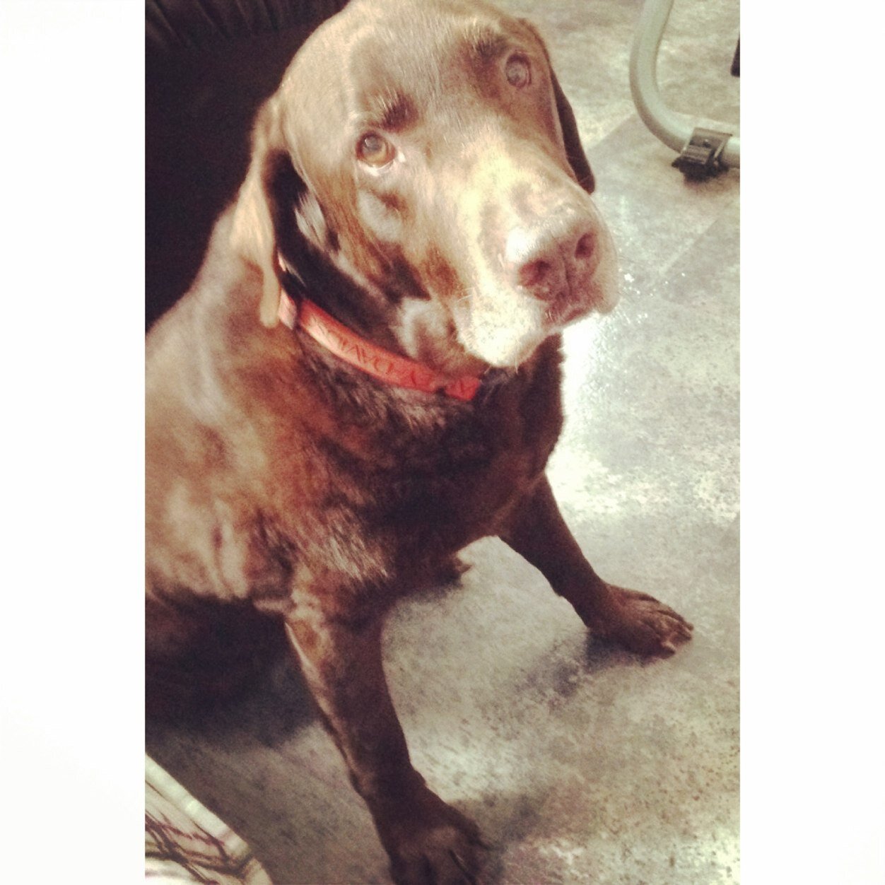 samslifeinwords's profile picture. 