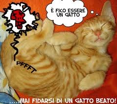 Natoil4lugli0's profile picture. 