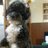 sabry_braaa's profile image