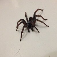 Jonathan More (@jonathanmore397) 's Twitter Profile