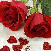 CAVA57000030's profile picture. 