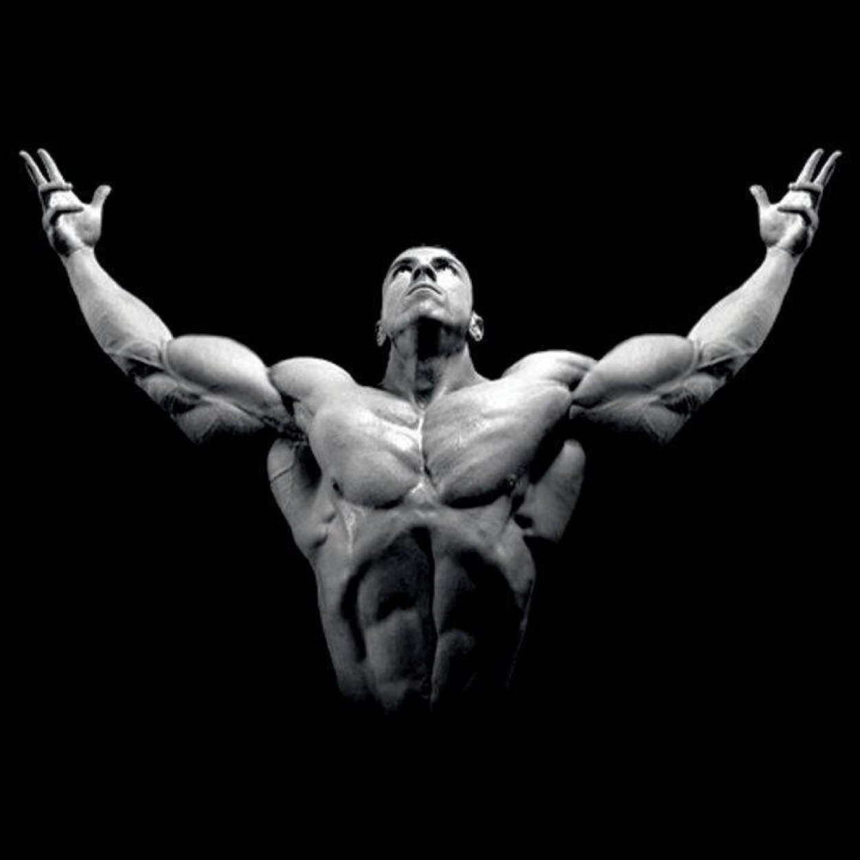 Follow our tweets to learn serious workouts from our very own gym fanatics. Also keep up to date with special offers and discounts!