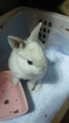 typeadg's profile picture. 