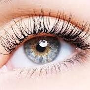 Natural approaches to eye health, other health issues through nutrition, diet and lifestyle.