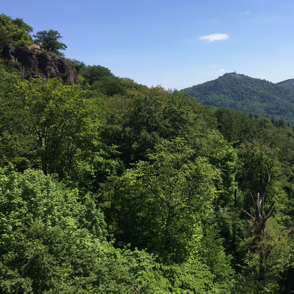 24h_Service's profile picture. The NSA tweets here. Top secret!