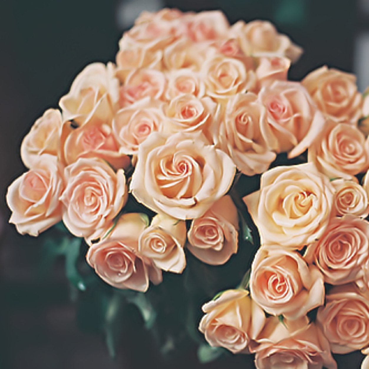 ‏ رَبي ؛ انْثر السعادھ لمنْ اسّعدنِي بـ گلمہ ، أو بـ فعّل أو لمنْ دَعى لِي بـ ظہّر الغَيبّ ♡ . .