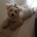 Mari Carmen Rodes - @RodesMaricarmen - Twitter