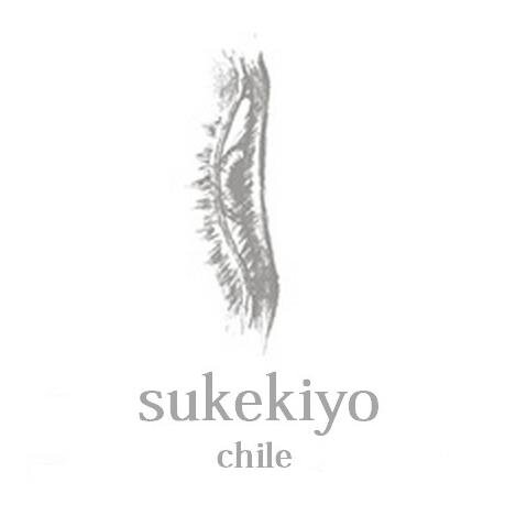 sukekiyo's chilean community; news, photography, interviews & + / comunidad chilena dedicada a sukekiyo. (staff: @christianayami, @erumagda, @suamimizozo