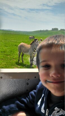 lrapdc's profile picture. A mom, a professional, a wife and every now and then when there's a little time left....a human being