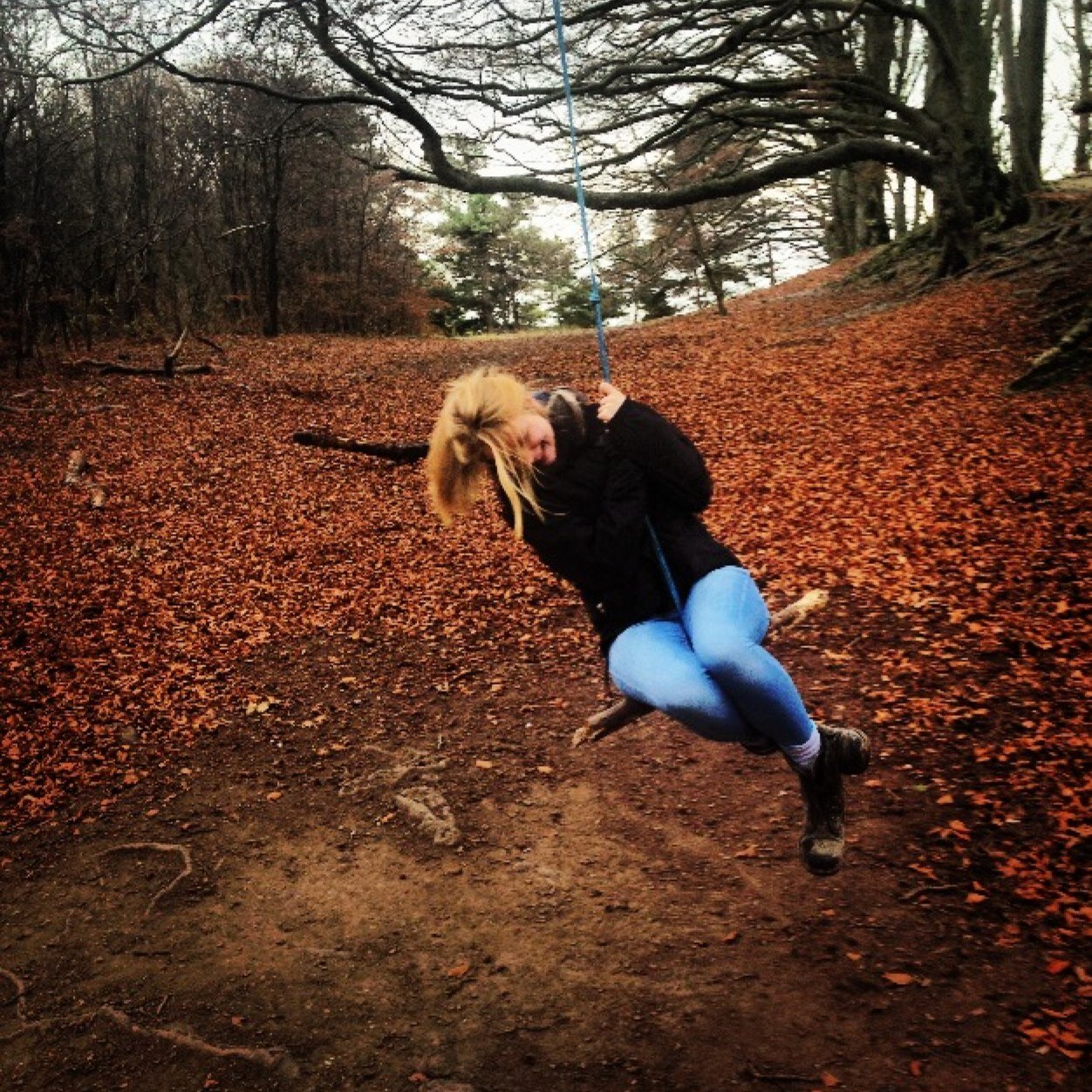 _Twittwoo's profile picture. Full of wonderlust.