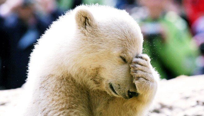 CryptoMerchant's profile picture. 