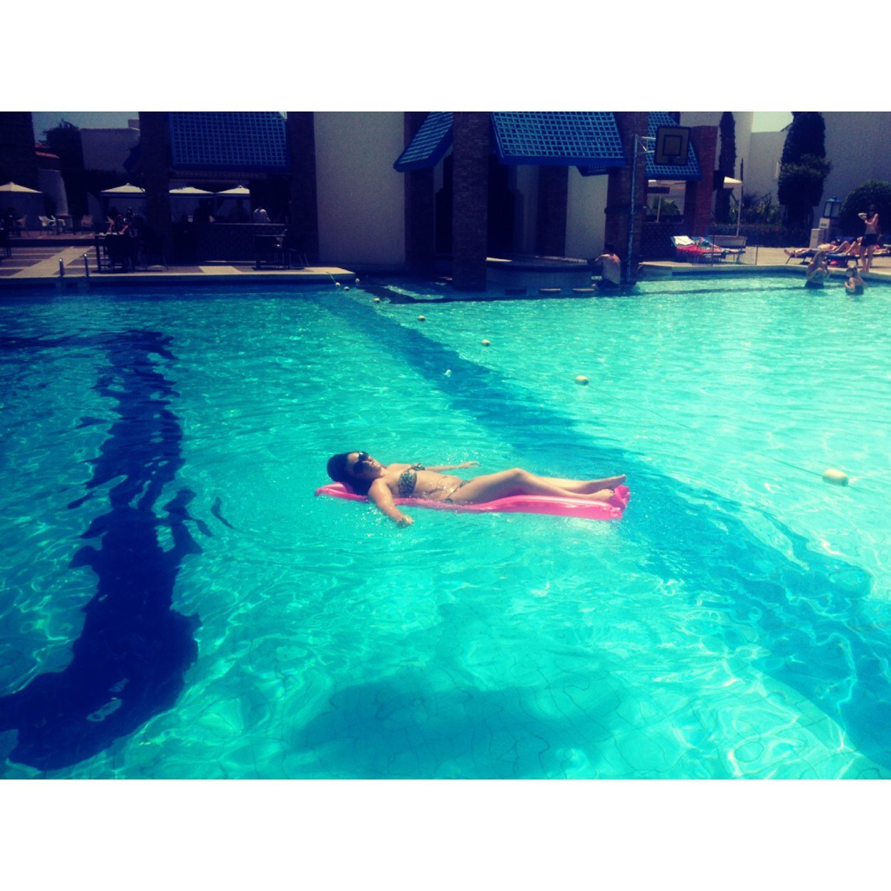 pollard_daisy's profile picture. 