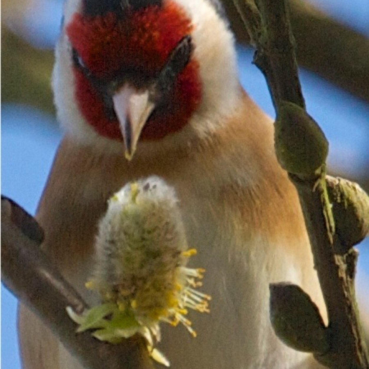 Isn't nature brilliant