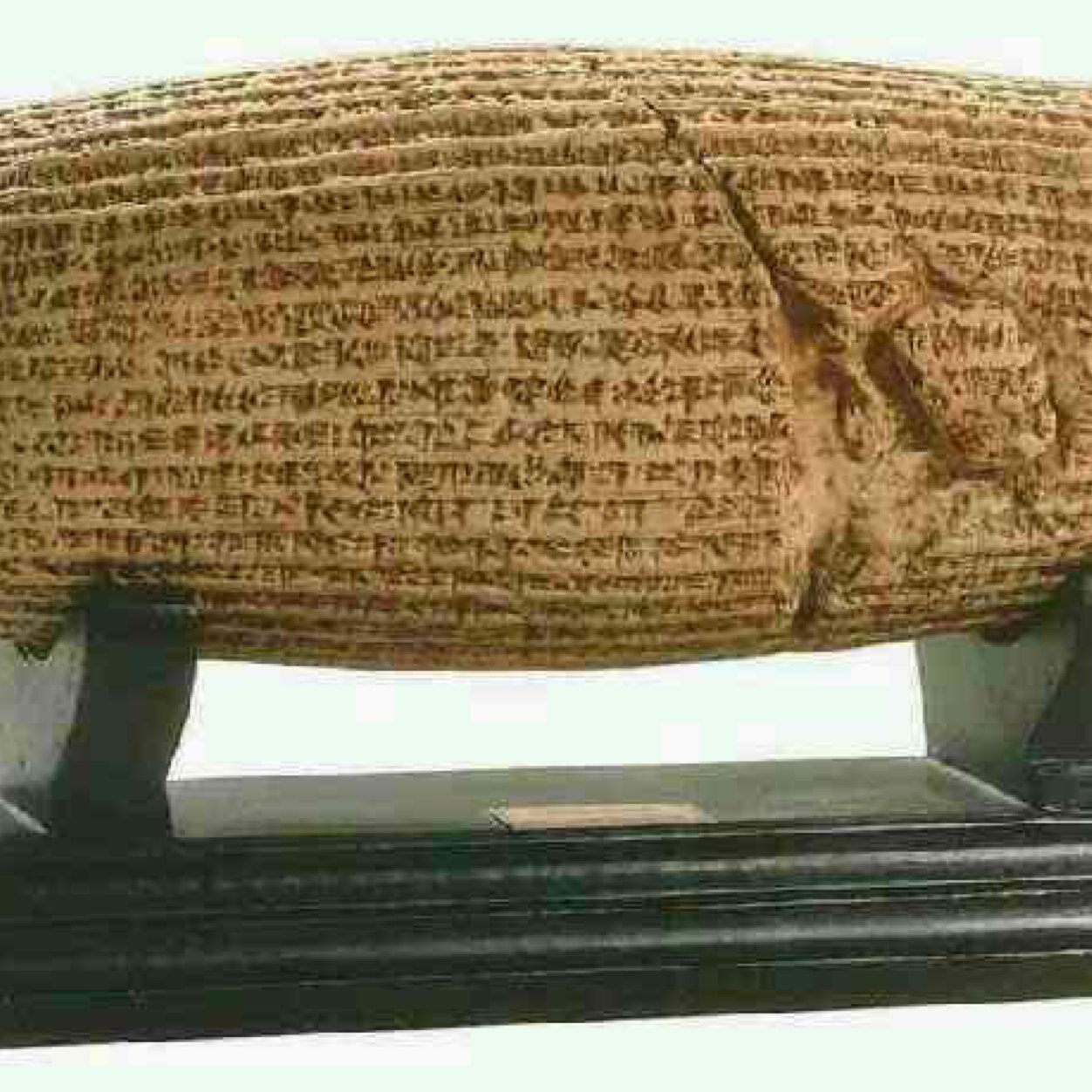 Eh23061358's profile picture. 