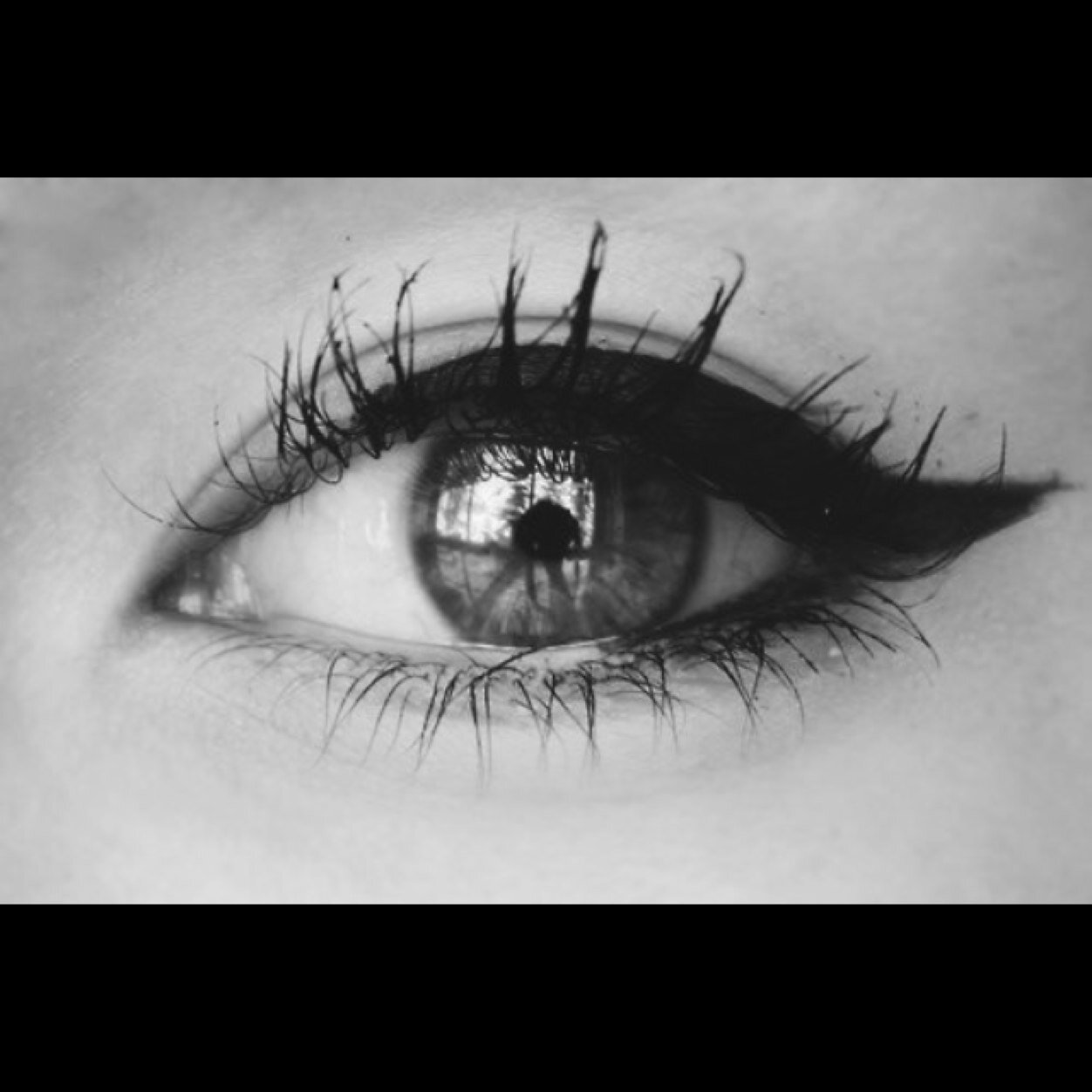 16 : scarred like no other : depressed : suicidal : willing to help anyone with anything. :3 | taken: 11/14/12