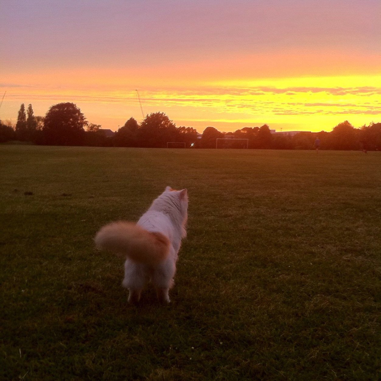 adria_cam's profile picture. 