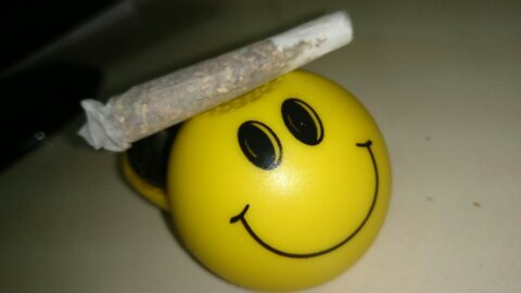 AmnesiasHaze's profile picture. ~En algun rincon de Andalucia