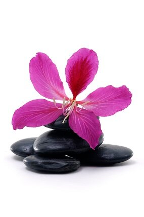 Massage Therapy for all ages. Everybody deserves a massage to feel their best!