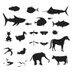 Dr. Dolittle (@drdoscienceblog) Twitter profile photo Dr. Dolittle (@drdoscienceblog) Twitter profile photo