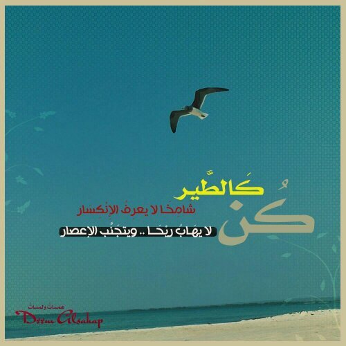 mlk2023's profile picture. 