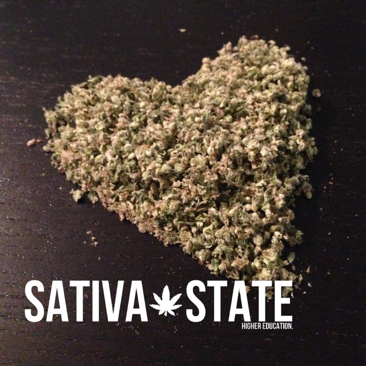 #spreadtheleaf #highereducation