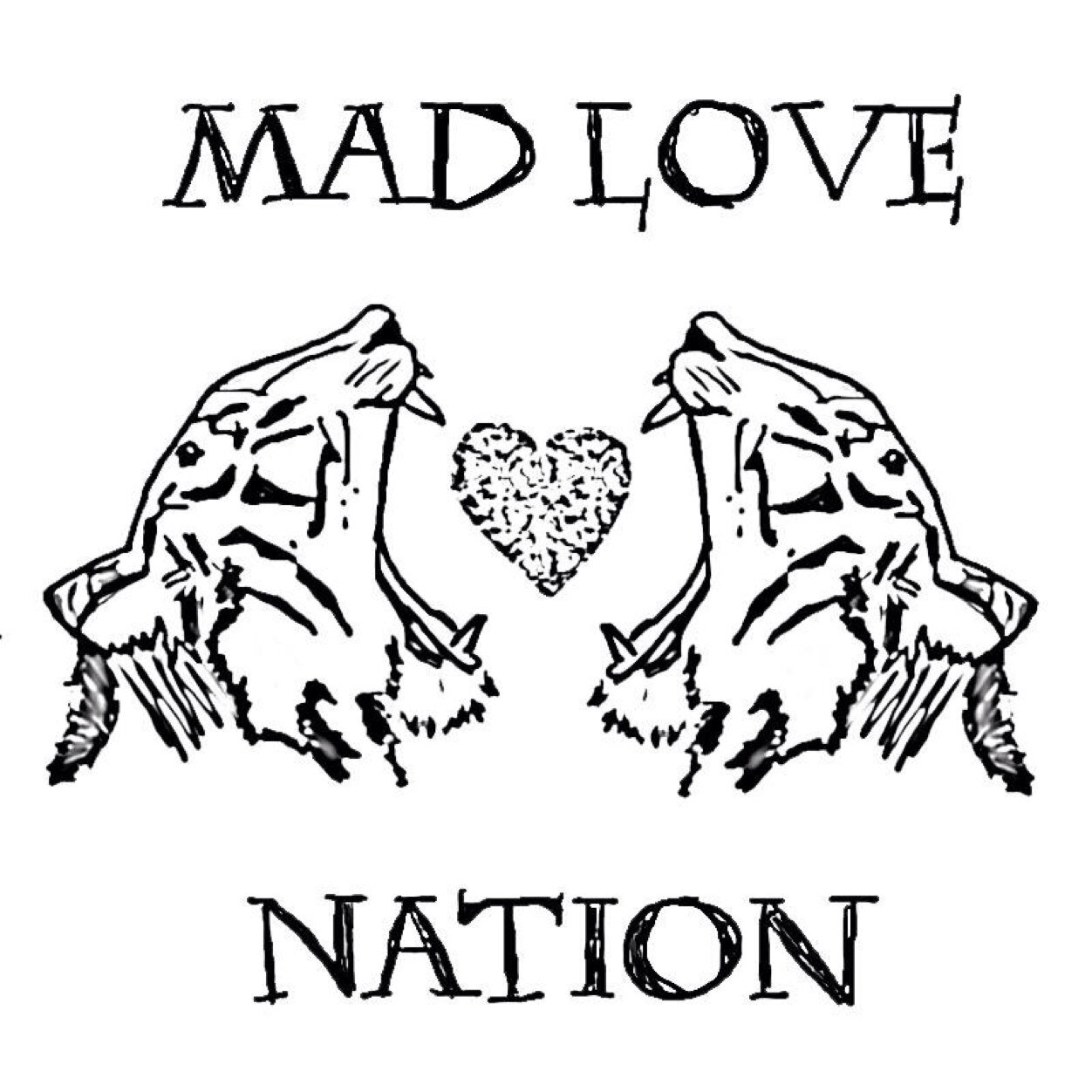 pi_mo's profile picture. 