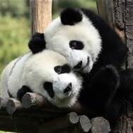 Broadconsensus's profile picture. Grass Roots Faith Consensus-Building