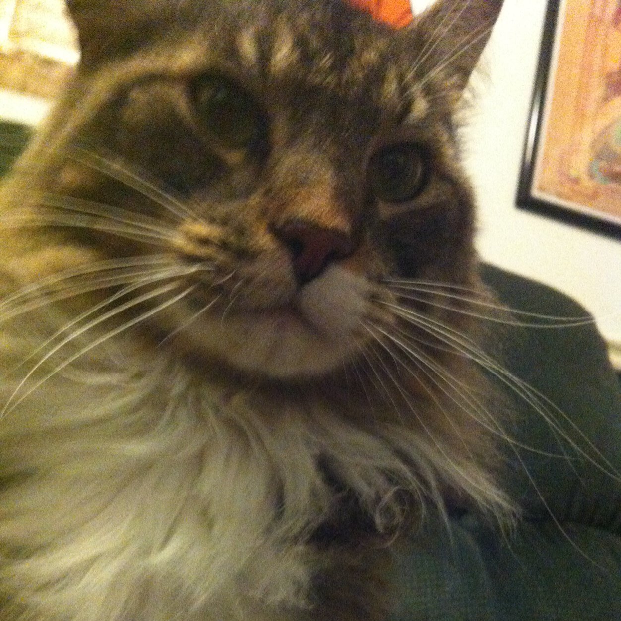 97Brock's profile picture. {Insert Joke Here}