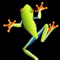 Tree Frog Equipment (@treefrogequip) 's Twitter Profile