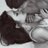 ExplicitShare's profile image
