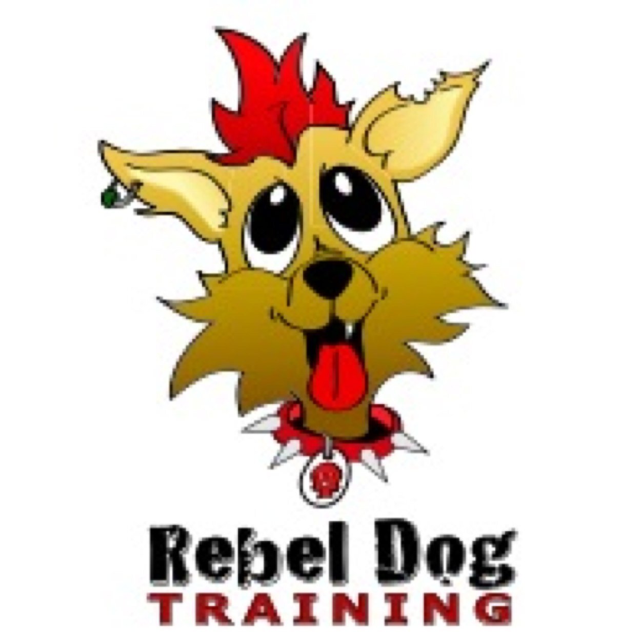 Fun family dog training! You'll remember why you fell in love with your little rebel.