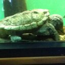 caleb mills - @1227912Mills - Twitter